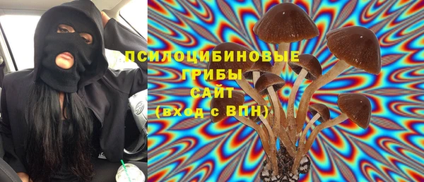 сатива Волосово